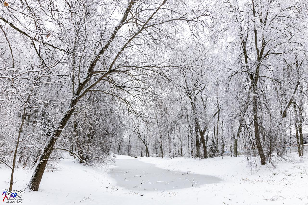 Усадьба Л. Н. Толстого «Ясная поляна» зимой. Фотограф в Туле Крупский АнДРей. Фотостудия «КАДР71» в Туле