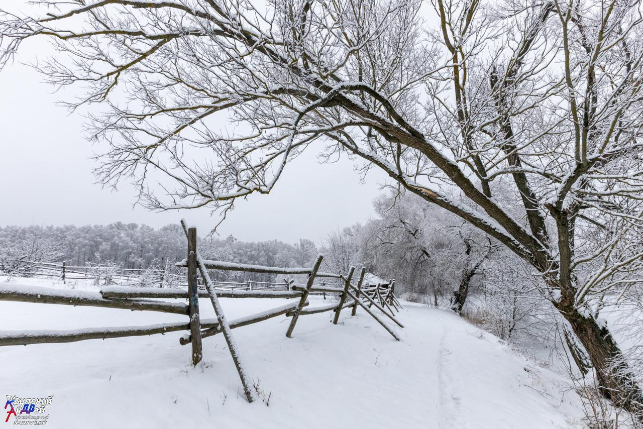 Усадьба Л. Н. Толстого «Ясная поляна» зимой. Фотограф в Туле Крупский АнДРей. Фотостудия «КАДР71» в Туле