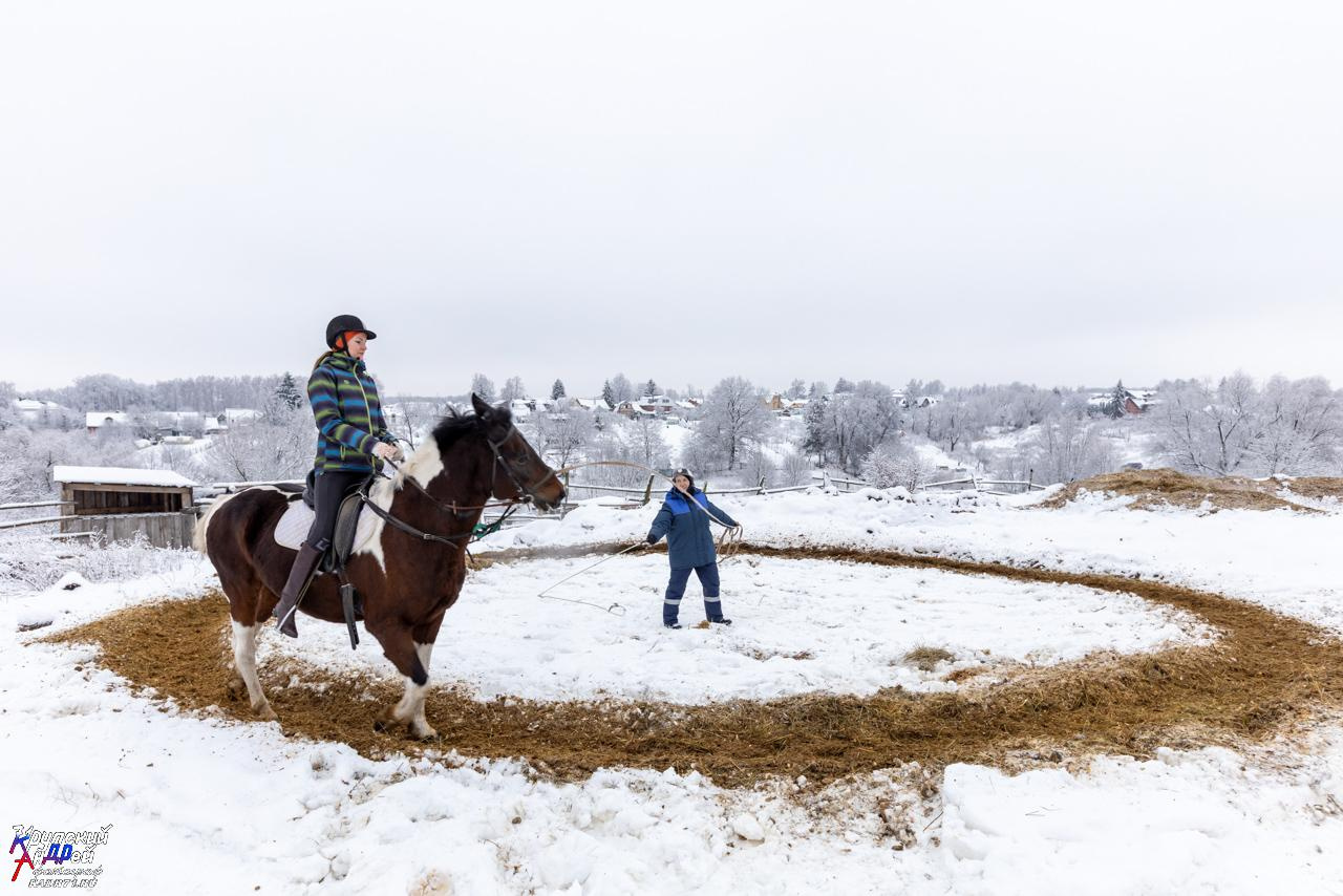Усадьба Л. Н. Толстого «Ясная поляна» зимой. Фотограф в Туле Крупский АнДРей. Фотостудия «КАДР71» в Туле