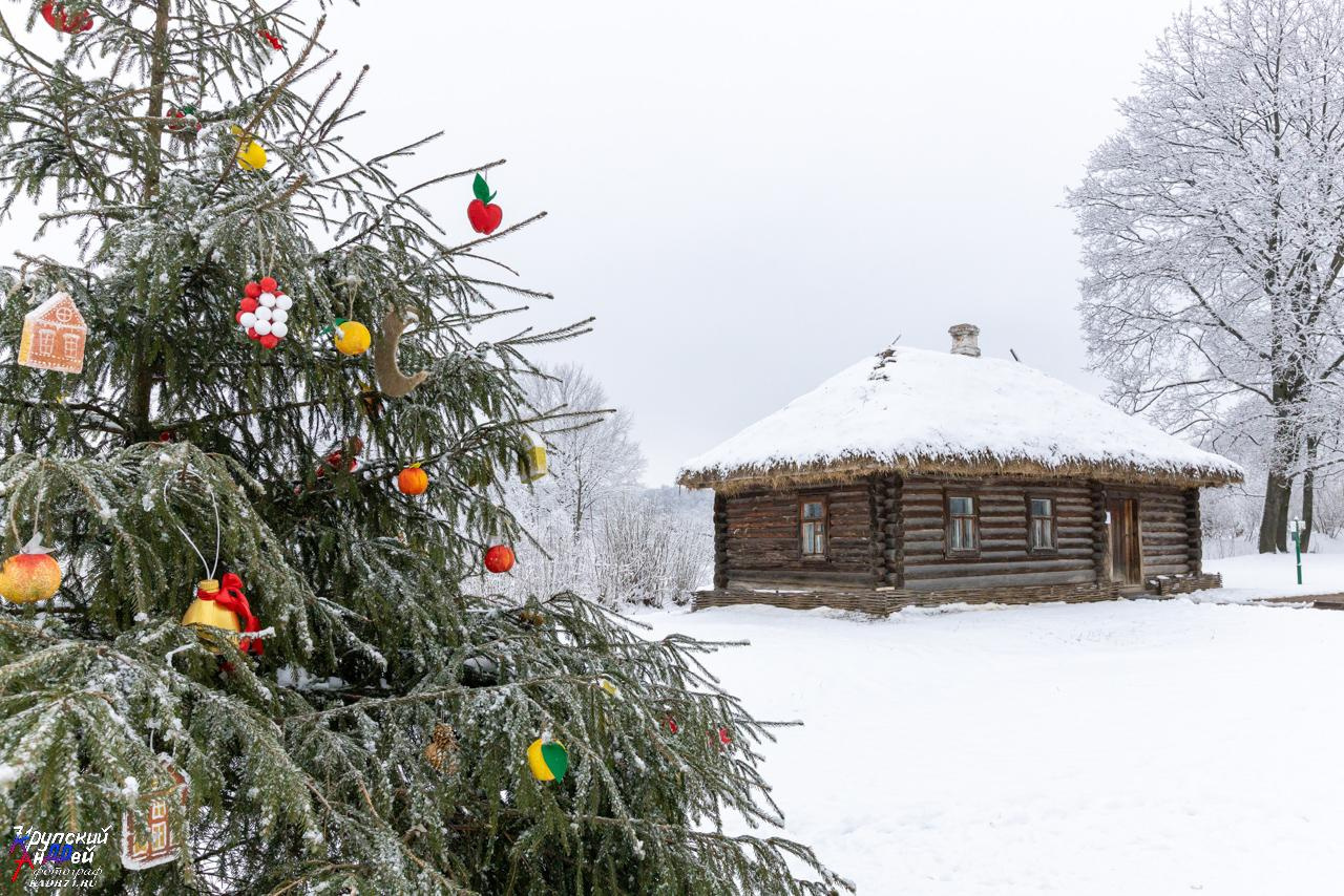 Усадьба Л. Н. Толстого «Ясная поляна» зимой. Фотограф в Туле Крупский АнДРей. Фотостудия «КАДР71» в Туле