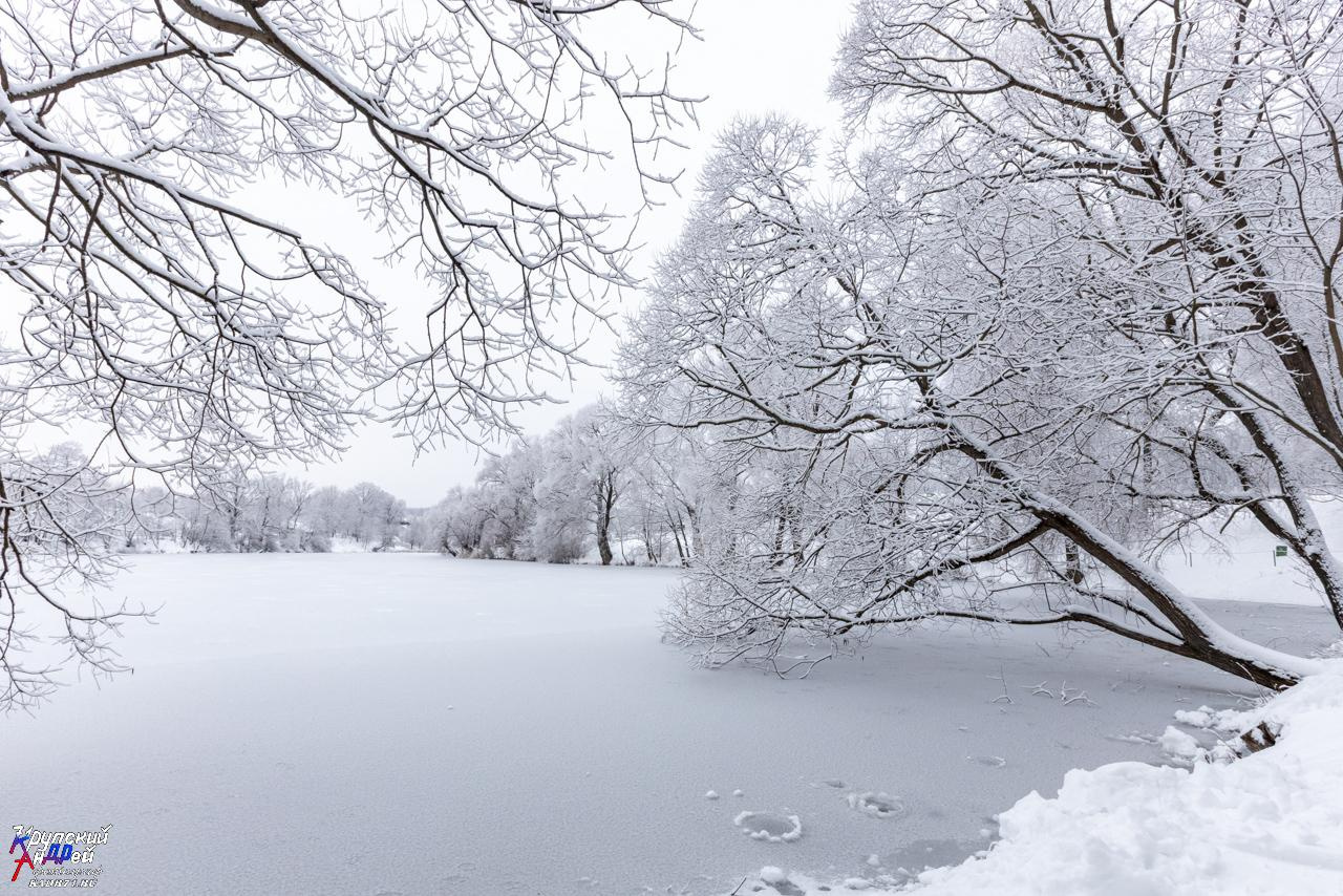 Усадьба Л. Н. Толстого «Ясная поляна» зимой. Фотограф в Туле Крупский АнДРей. Фотостудия «КАДР71» в Туле