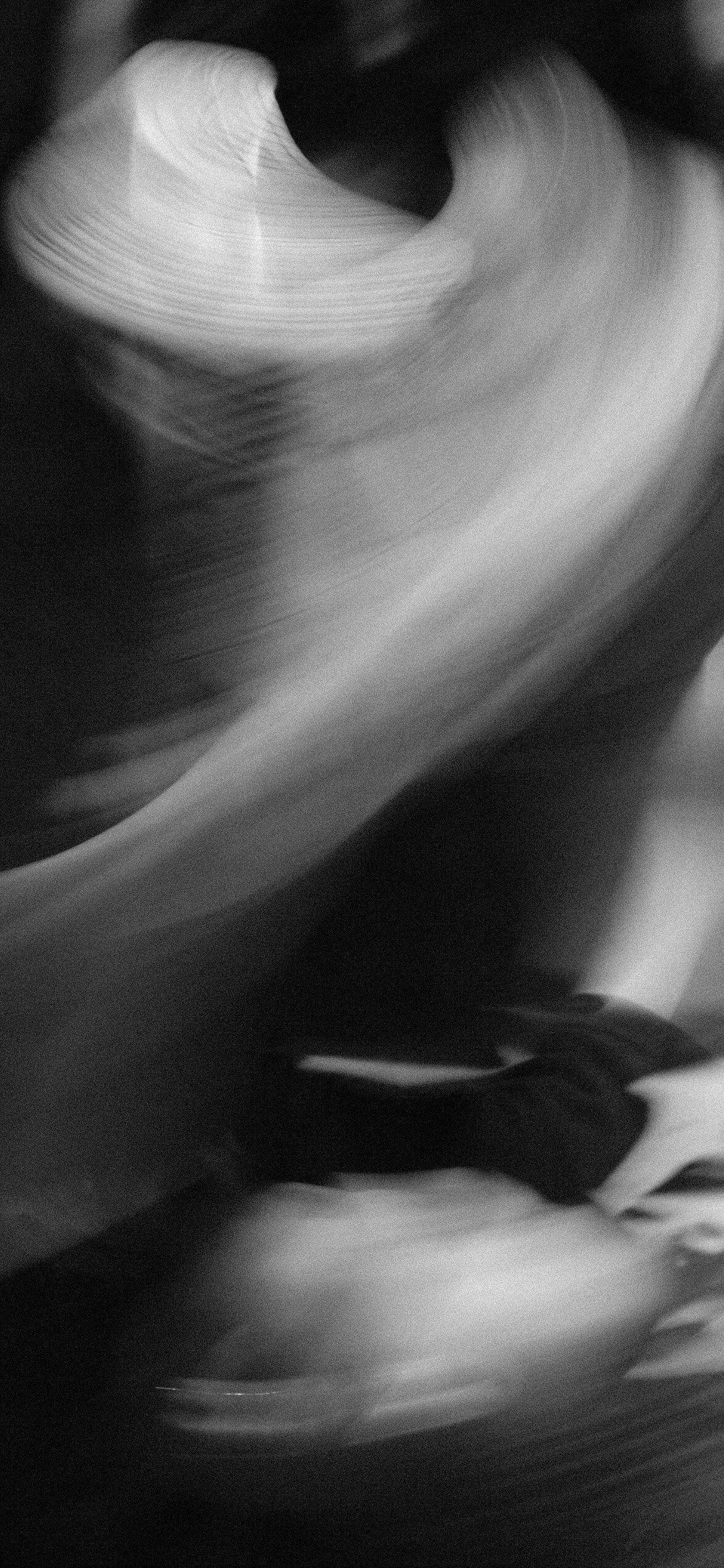 NBD 2023. LIYALEE PHOTO