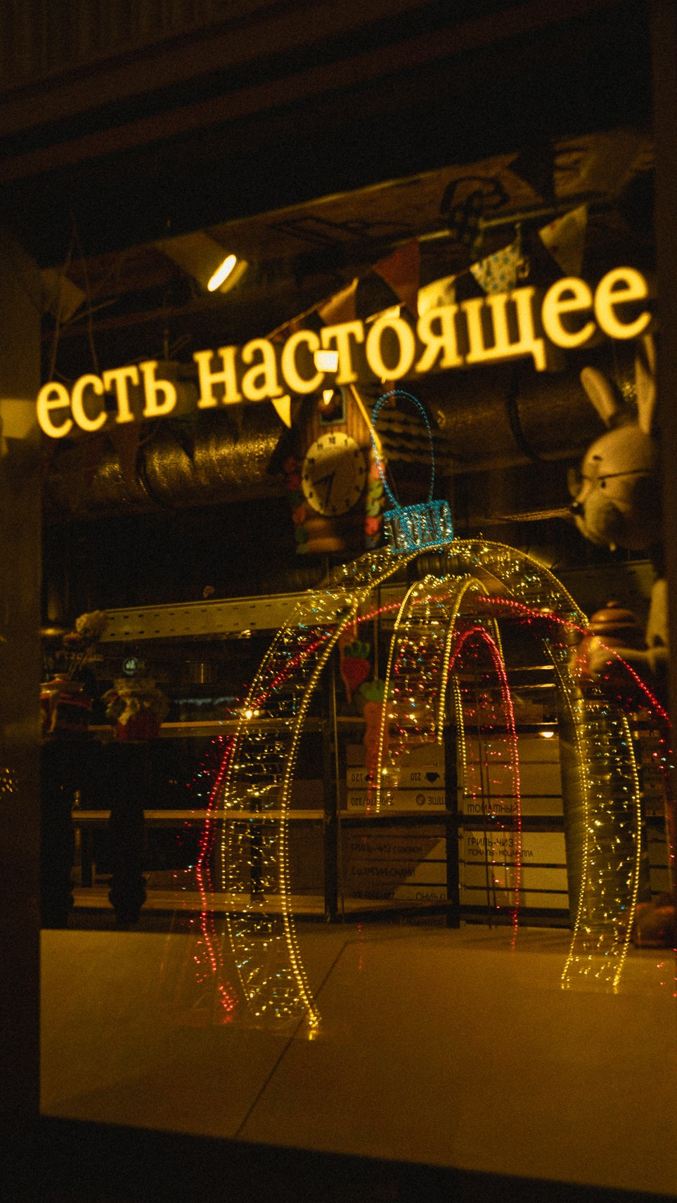 Москва. Ноябрь. 2024. Фотограф в Сочи Елена Лисотина. Фототуры в Сочи