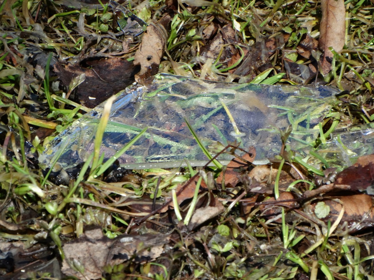 «Весенний переполох» Загородный выезд | 16-17.04.2016. Галерея Фантим