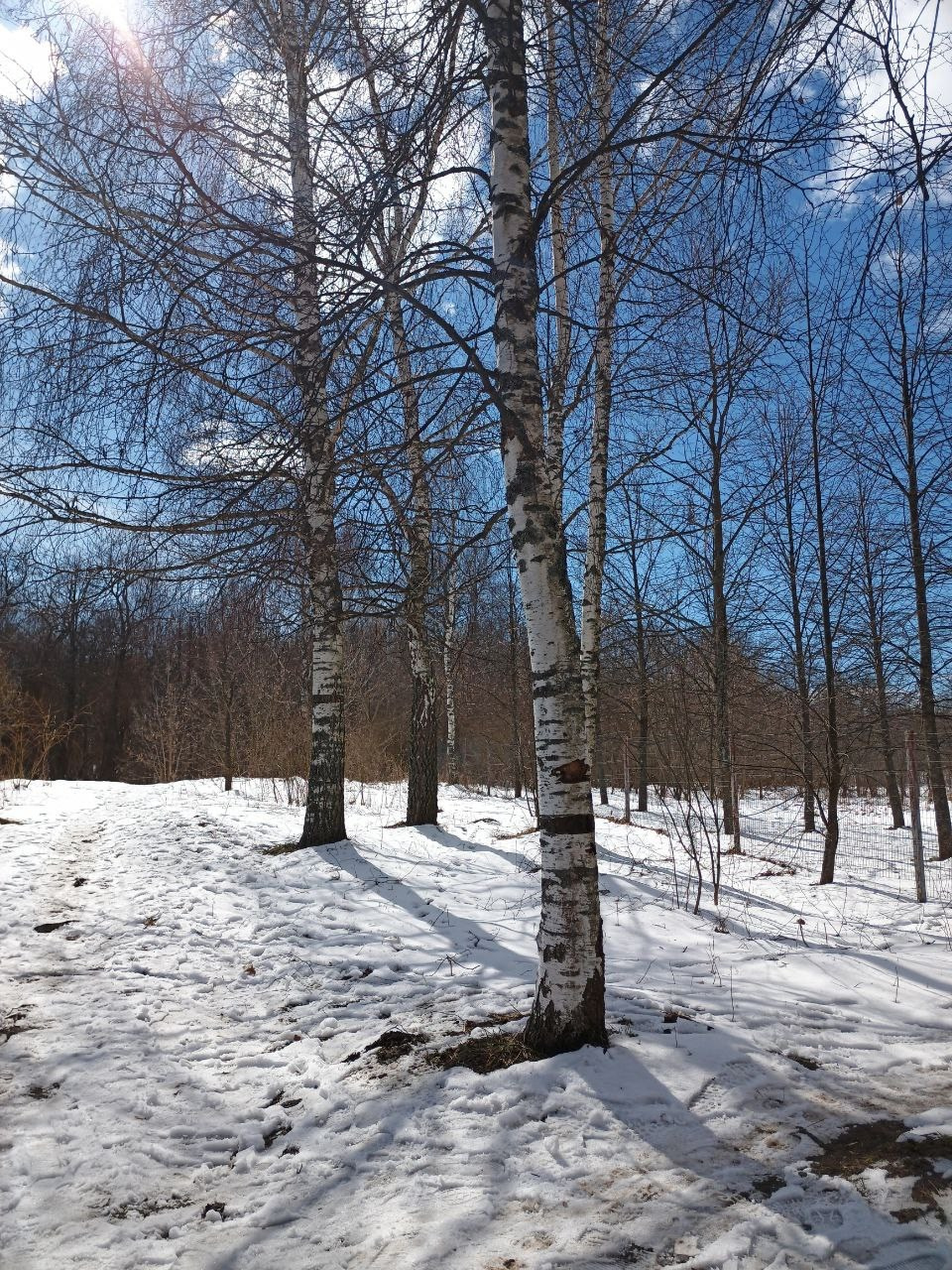 Дубна. Экскурсионная поездка | 12.04.2025. Галерея Фантим