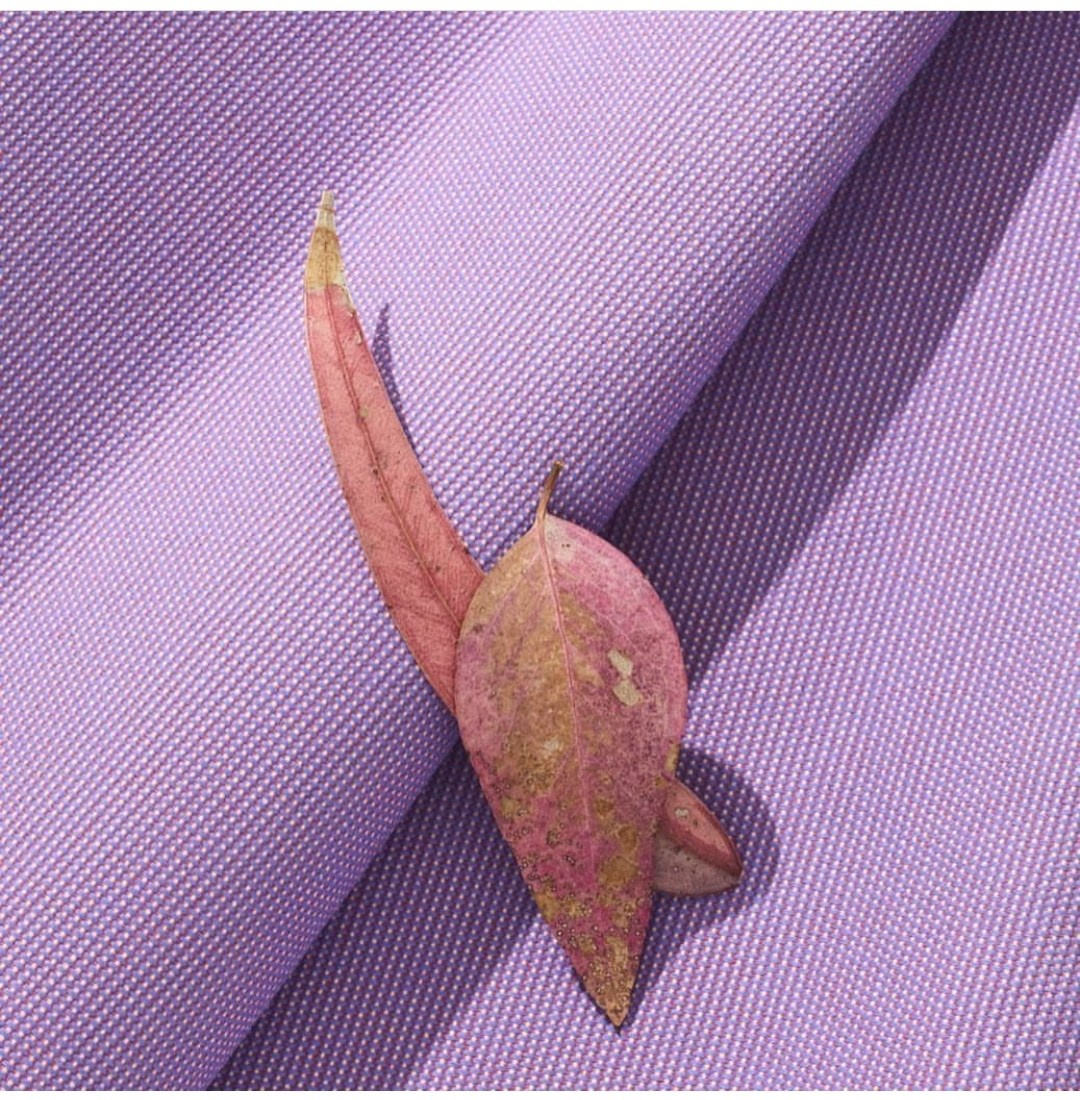 Ткани. Soft Garden: Дизайнерские шторы и уличный текстиль