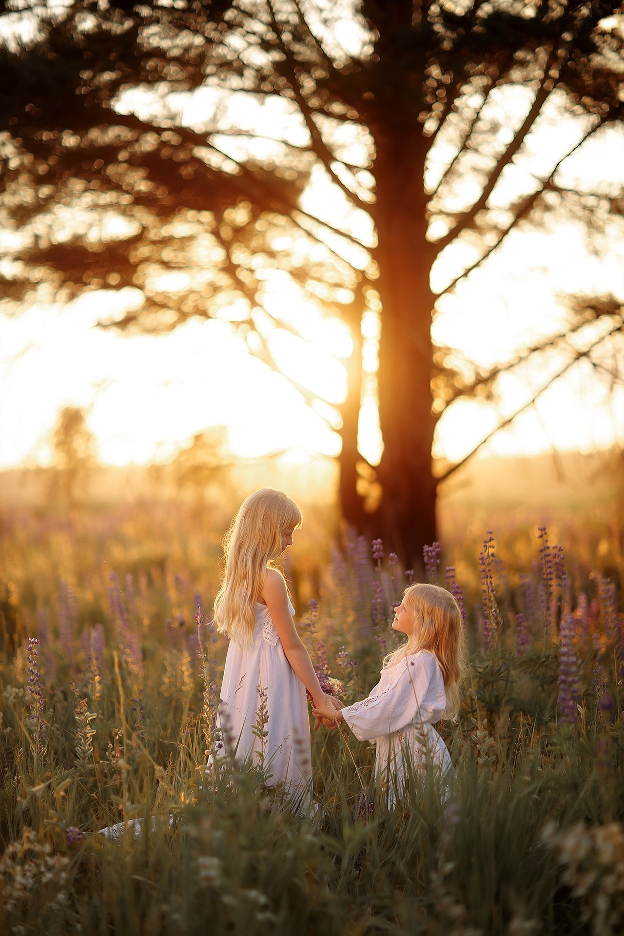 Семьи и пары. Фотограф Александр Калинин