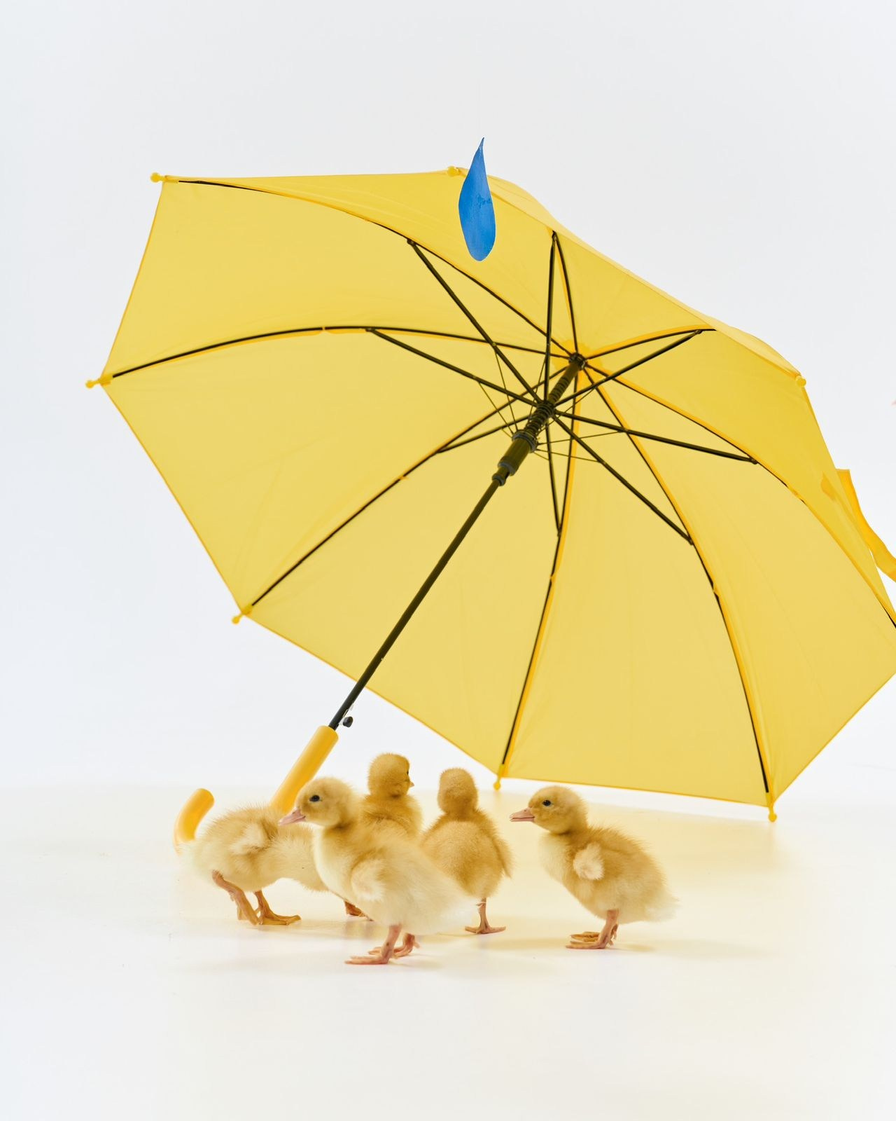 Портфолио наших фотографов. Content Studio фотостудия