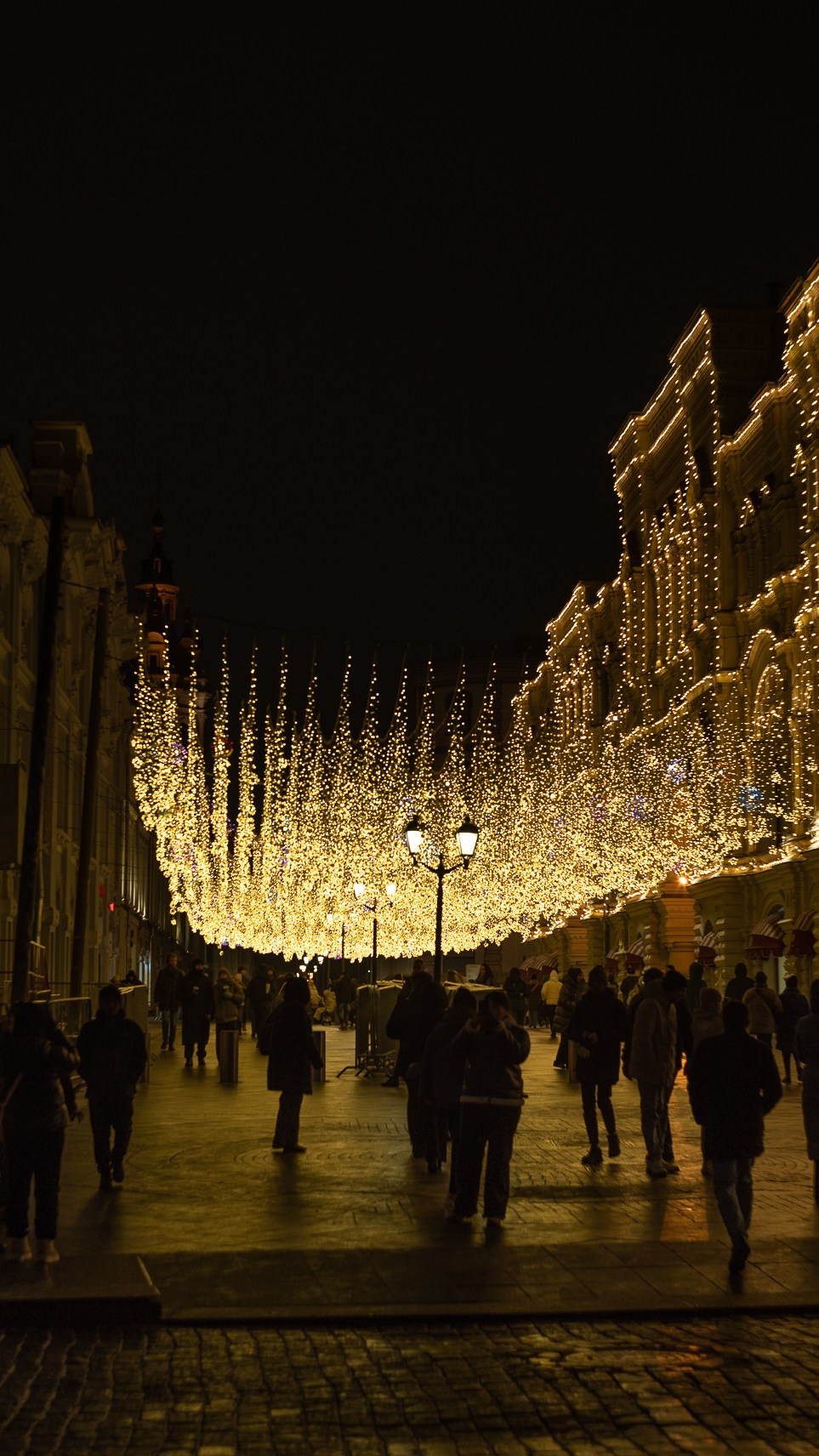 Москва. Ноябрь. 2024. Фотограф в Сочи Елена Лисотина. Фототуры в Сочи