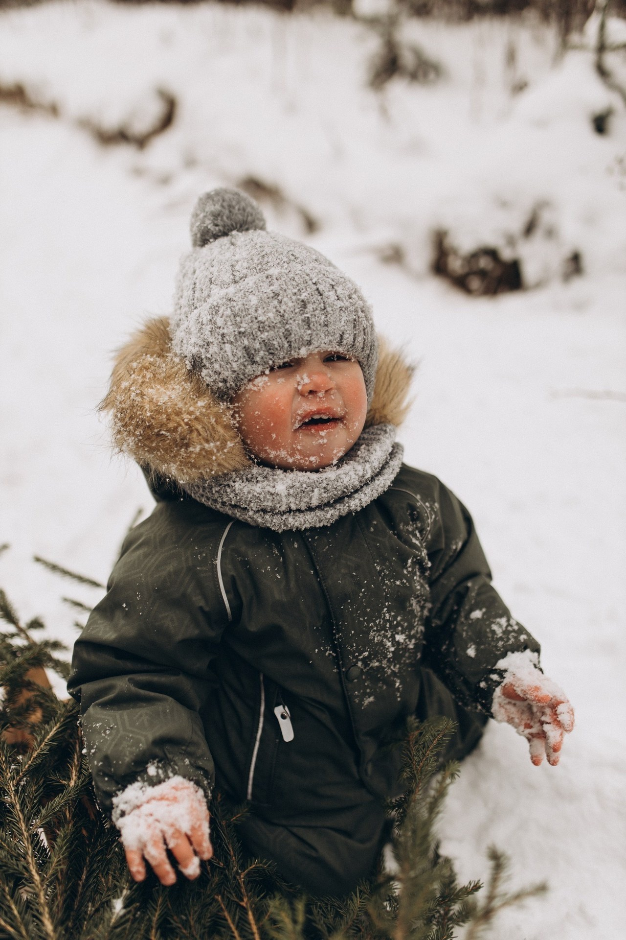 Приключение Вовы и его родителей. Услуги