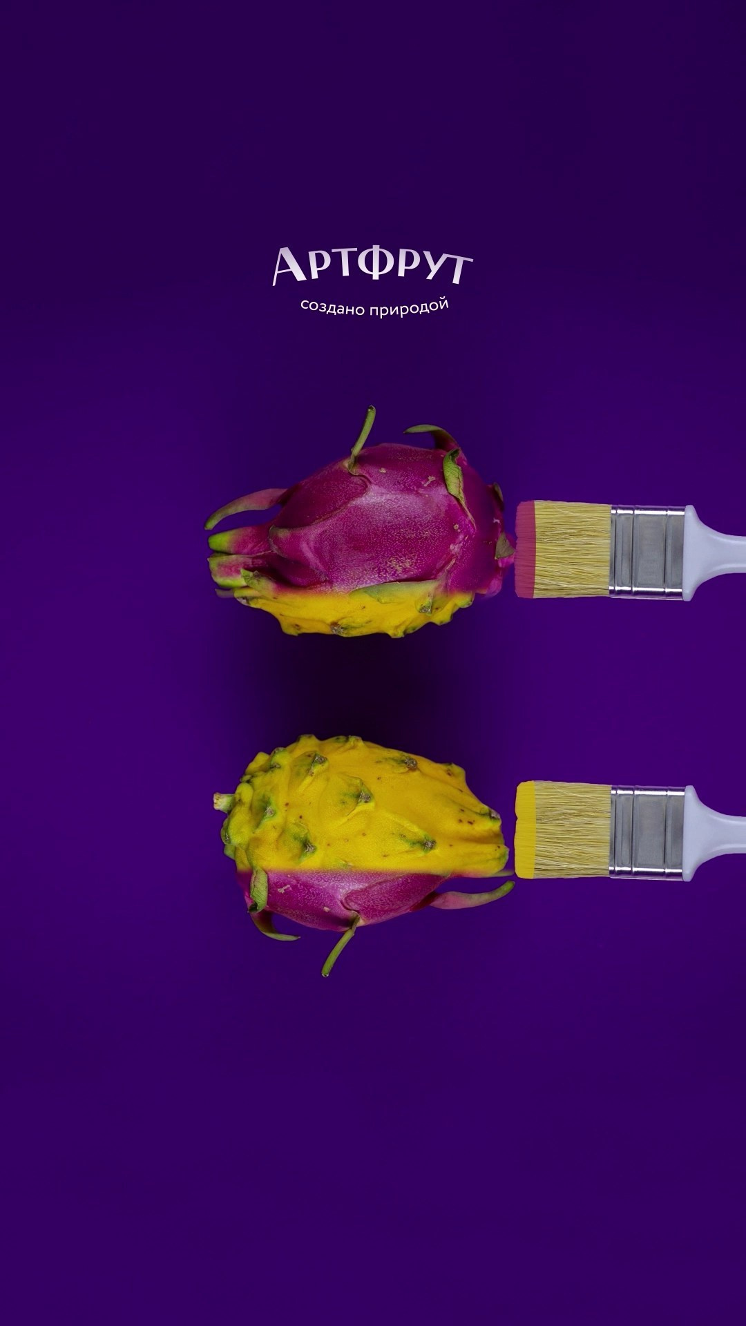 Stop motion анимация. Фотограф и motion аниматор Екатерина Синевич