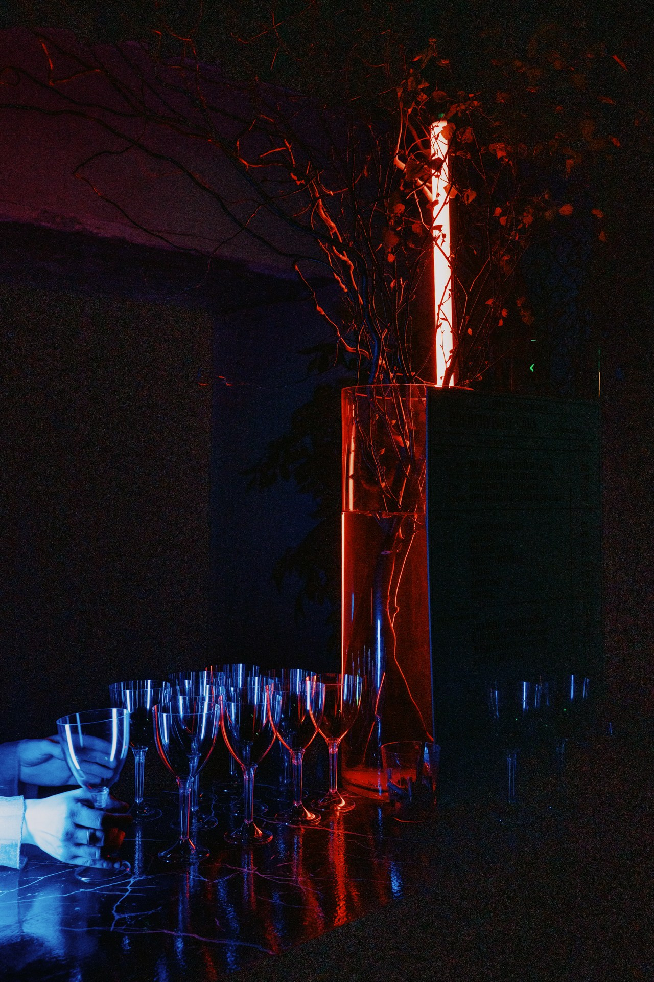 CAVA disco. Портретный и репортажный фотограф в Санкт-Петербурге Максим Пашков