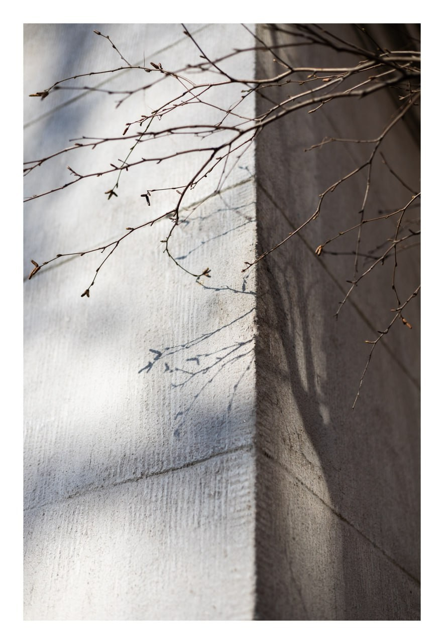 Облачный поток. Мастерская Демченко