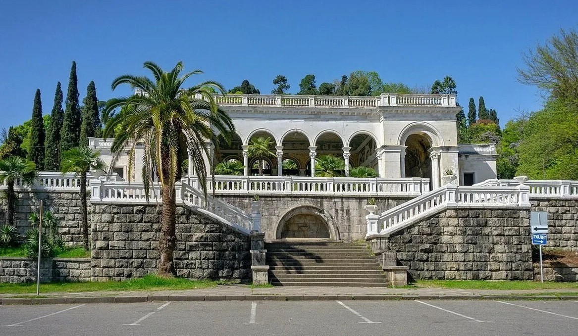 Абхазия. Мимоза. Ольга Котова