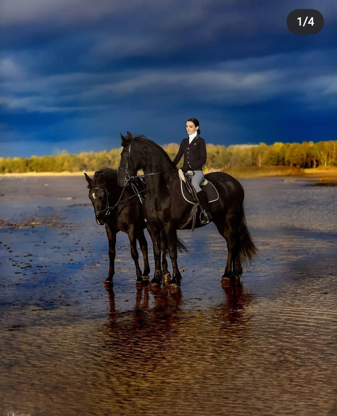 Фотосессии с лошадьми летом. Фотограф женский и мужской портрет Санкт-Петербург