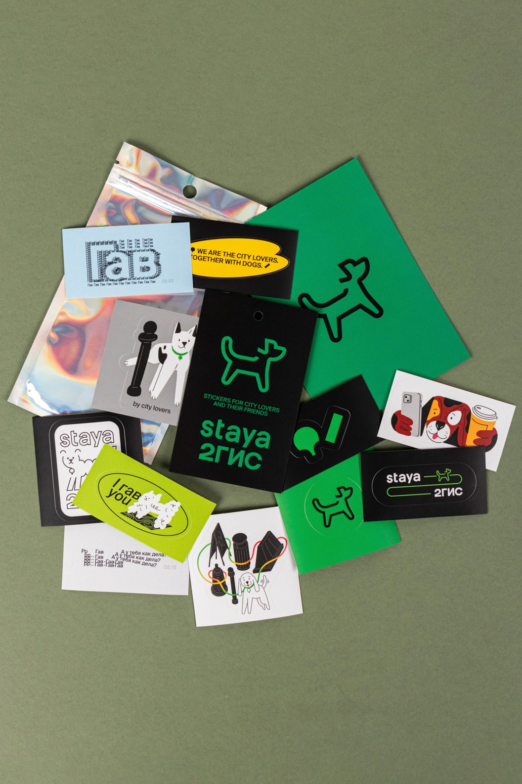 2ГИС & staya. Романова Александра фотограф в Москве