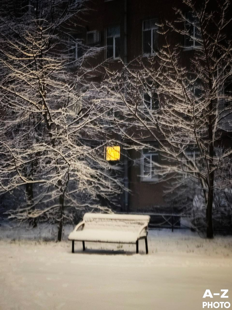 #ФОТОНЕДЕЛИ 08.12.2025. Женский семейный фотограф Тула Москва Захарова Анна