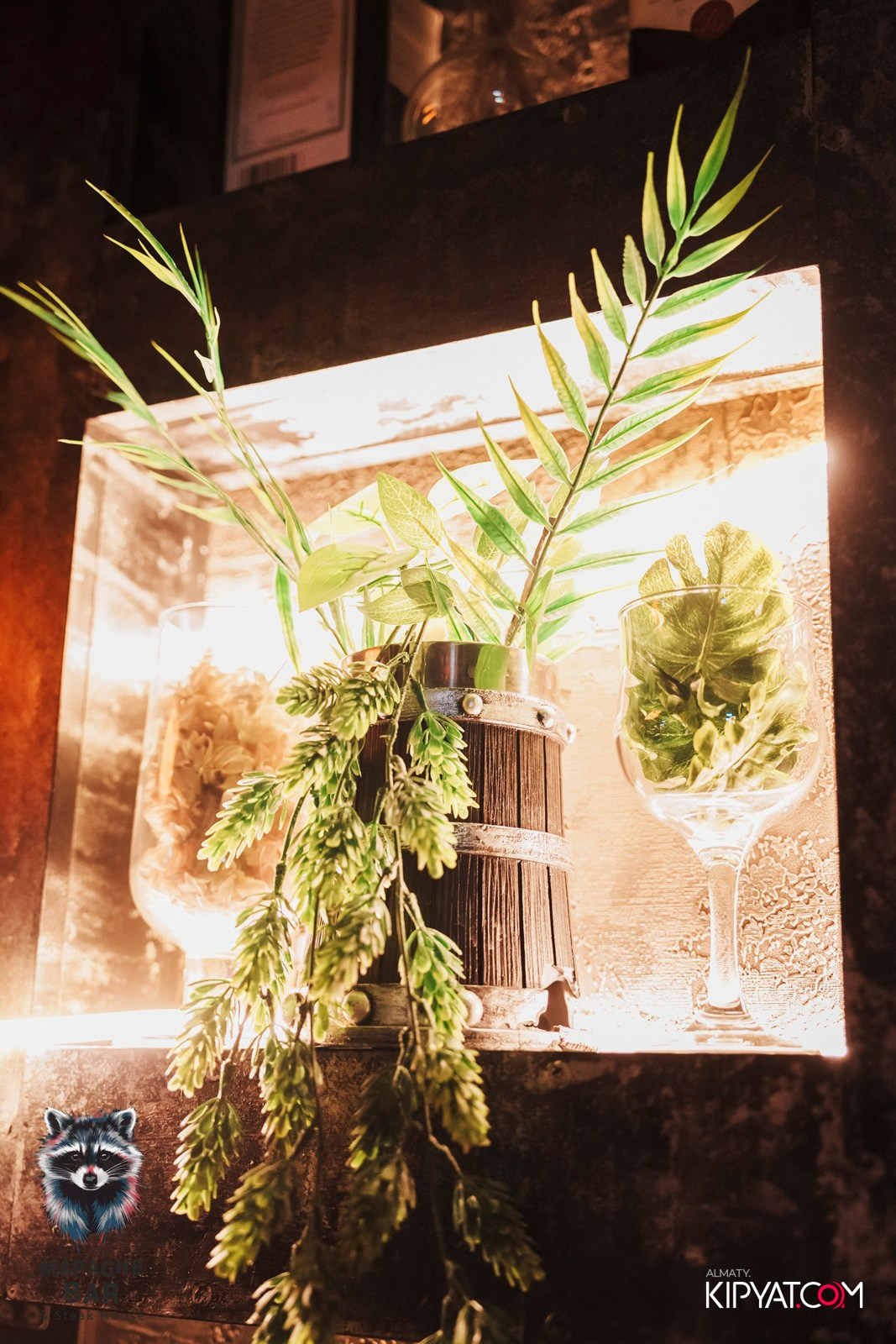 MAPACHE BAR. КИПЯТКОМ АЛМАТЫ! Фотосъемка мероприятий в Алматы