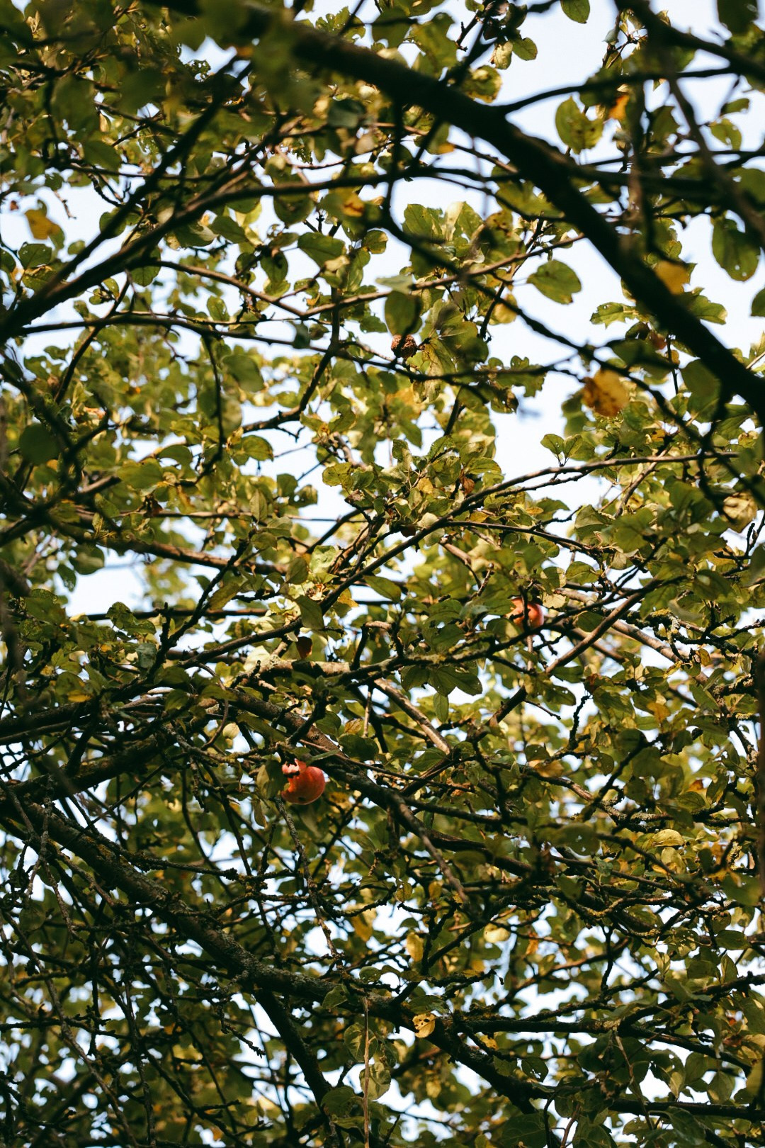 Маша. Фотограф Нижний Новгород