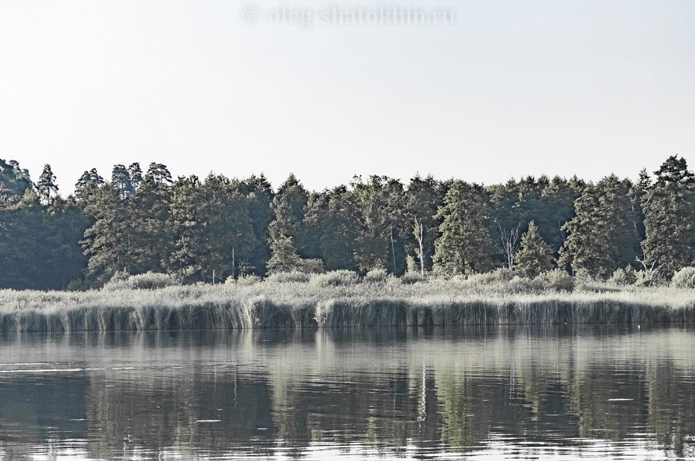 Пейзажи. Свадебный фотограф Олег Шатохин  Москва и Московской область