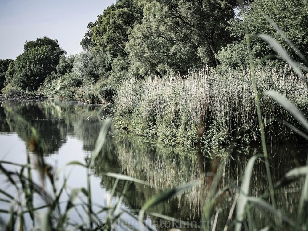 Пейзажи. Свадебный фотограф Олег Шатохин  Москва и Московской область