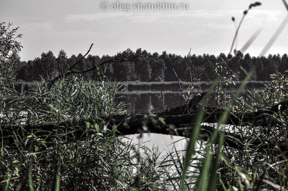 Пейзажи. Свадебный фотограф Олег Шатохин  Москва и Московской область