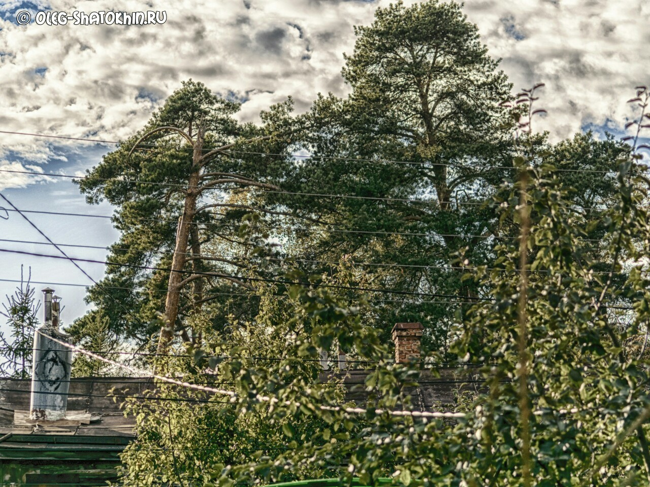 Пейзажи. Свадебный фотограф Олег Шатохин  Москва и Московской область