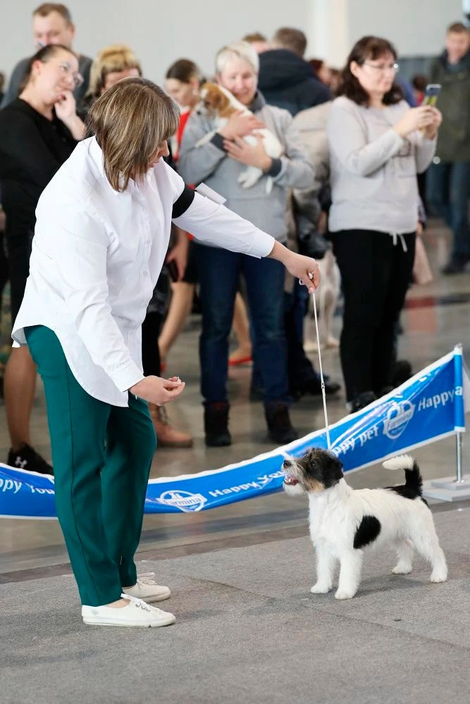 Port Fortis Destiny Of Love