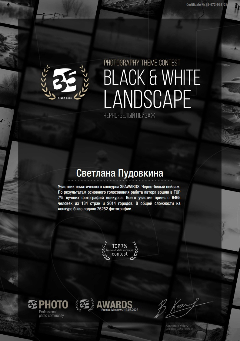 Дипломы 35awards. Фотограф Тольятти Светлана Пудовкина