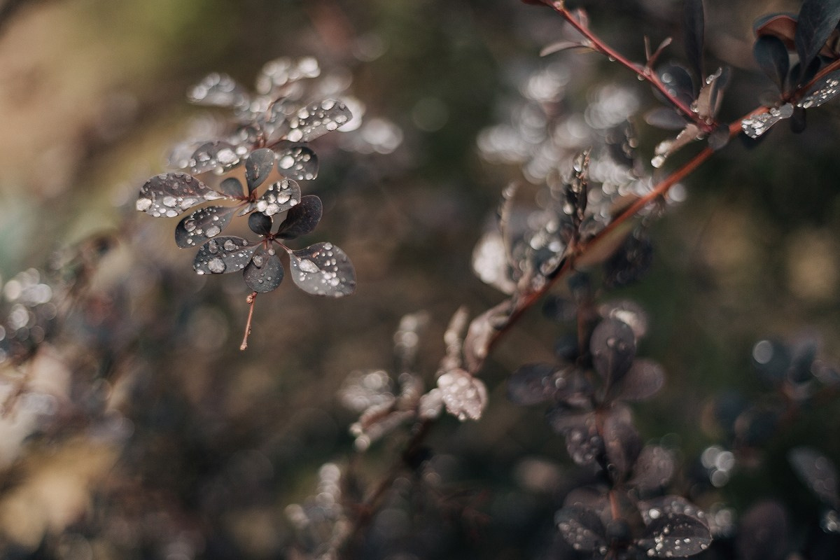 Детейлинг Центр «Мойка». Свадебный фотограф Челябинск, Екатеринбург, Курган — Виктор Слуднов
