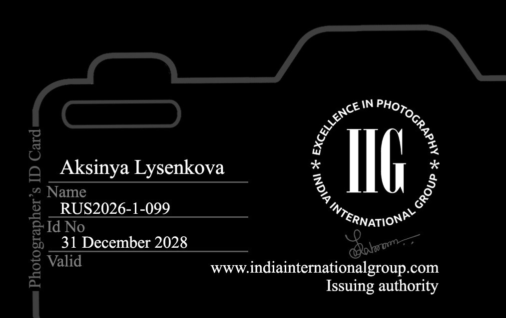Член India International Group — IIG. Детский, семейный фотограф в Ижевске и Москве Аксинья Лысенкова ADEN