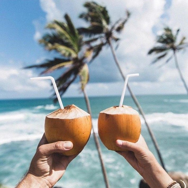 Серф-кэмп шри-ланка 2024. Серф-кэмп на Шри-Ланке