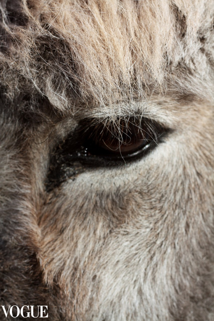 VOGUE. MARINA MANUCHARIAN