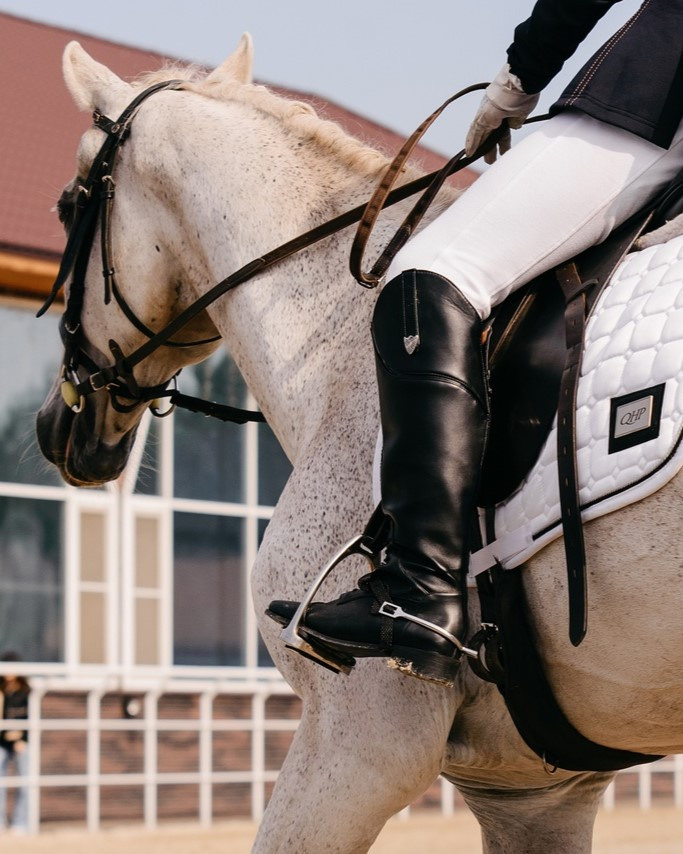 Съемка конных соревнований в Рязани и области