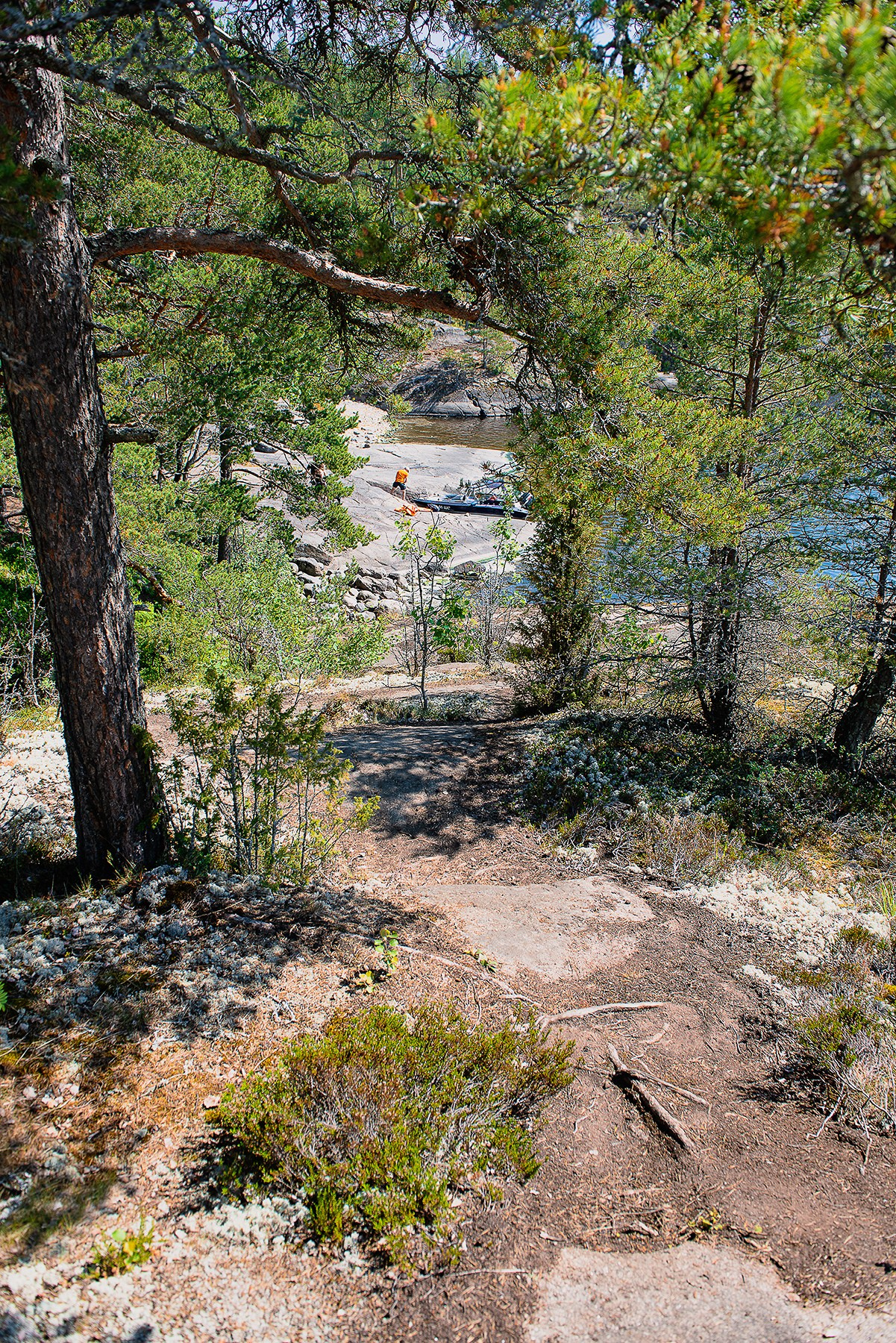 Карелия. Фотограф-анималист Наталья Светличная