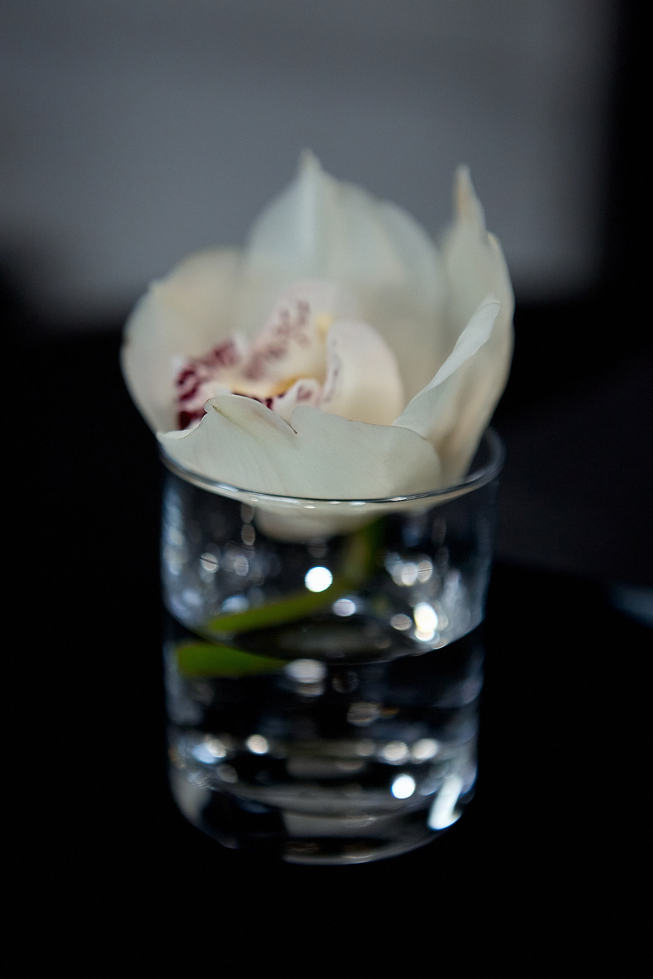 ДЦ ЕВРОСИБ БМВ