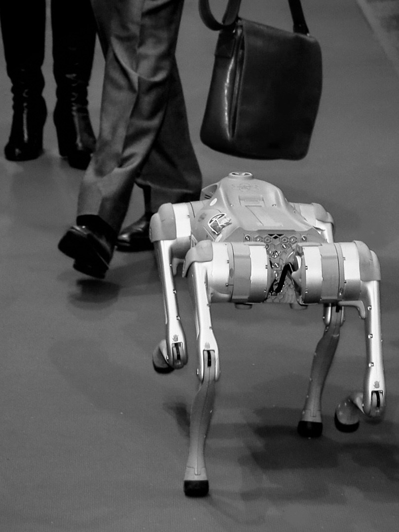 Репортажные съёмки. Фотограф в Москве — Рина Серёгина — съёмка в студии и репортаж