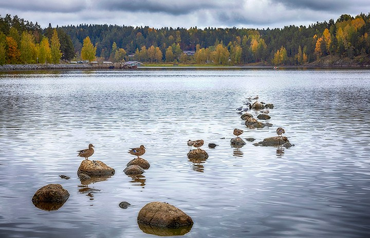 Пейзажи России. Пейзажный & Timelapse фотограф Роман Любимский