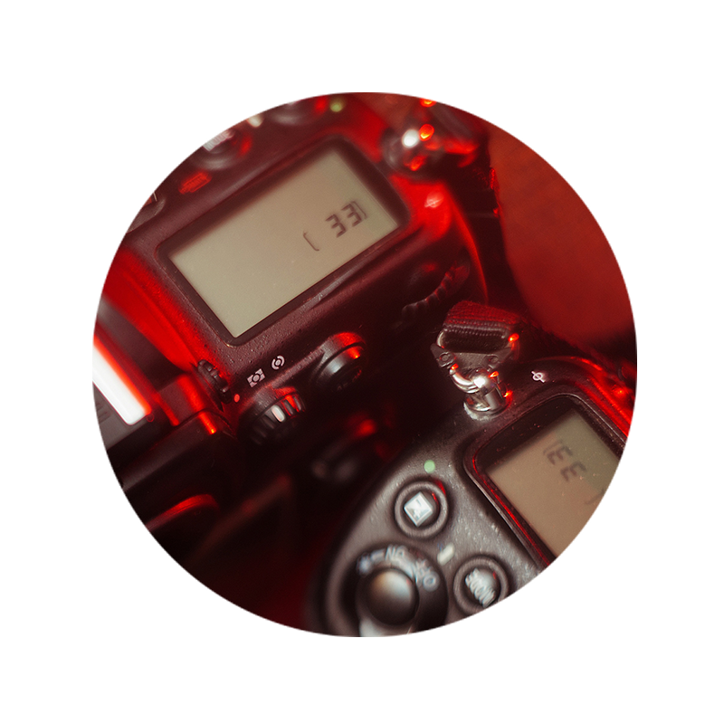 Света фотографирует