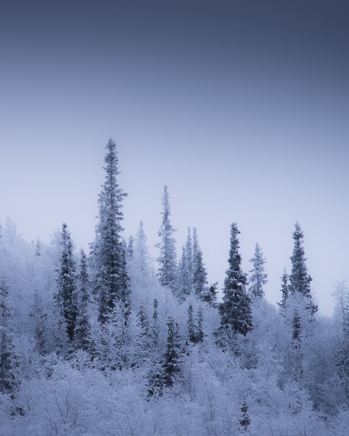 ХИБИНЫ. Пейзажный и тревел-фотограф Алексей Соколенко