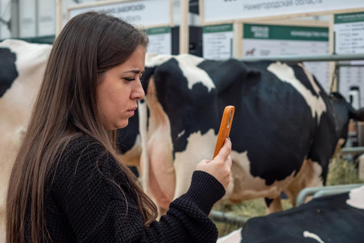 «Золотая осень» — 2022. Валерий Бычков. Фотограф
