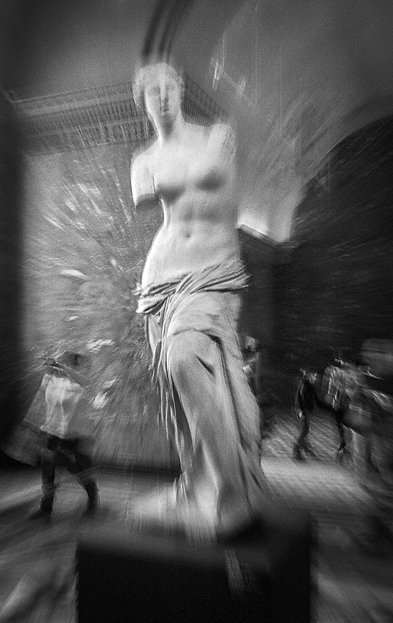 Свадебный фотограф в Геленджике