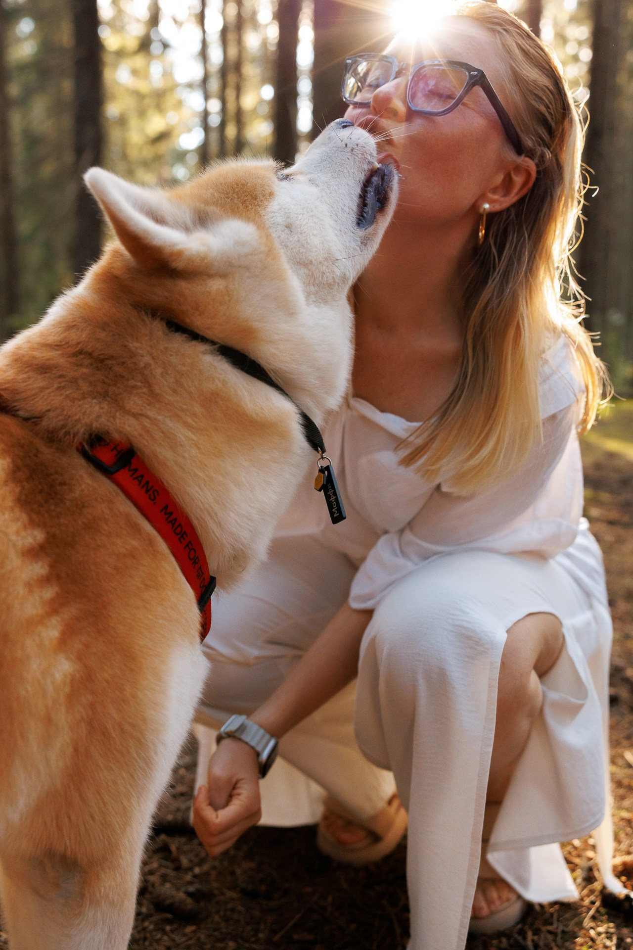 Forest Hill. Night2Day Санкт-Петербург