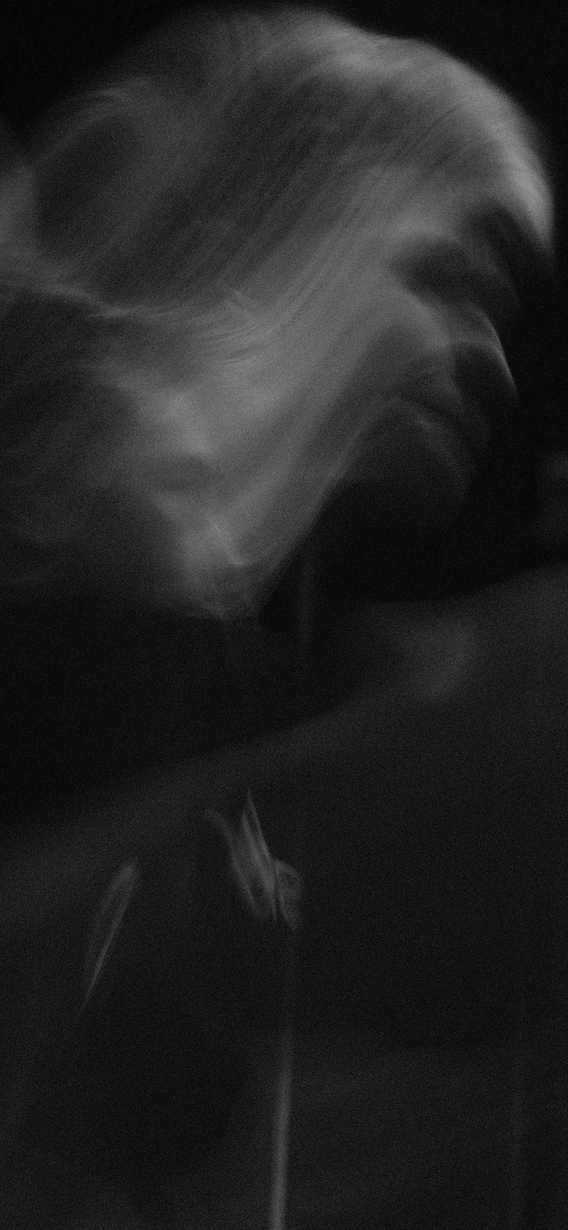 NBD 2023. LIYALEE PHOTO