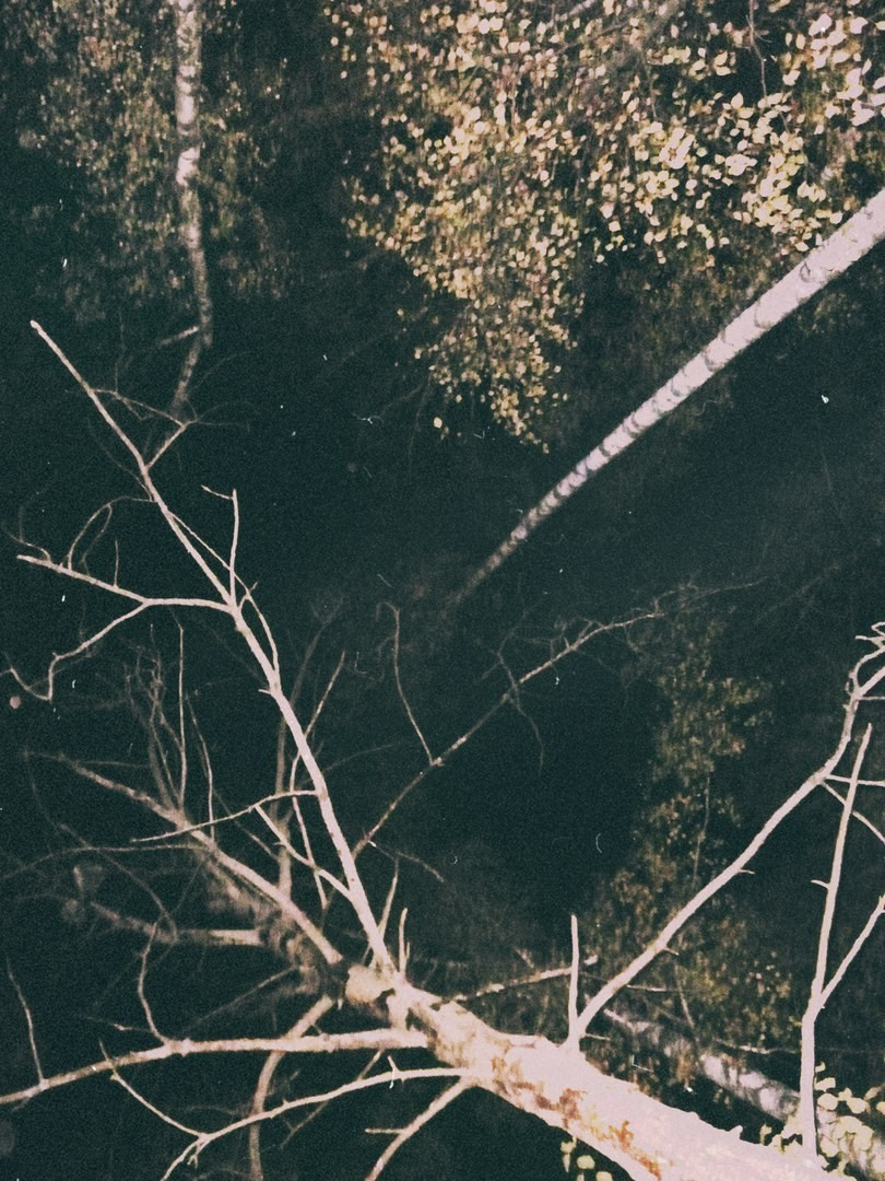 Мои первые работы. Фотограф из Москвы — DASHA NOVA | Авторская фотография в разных жанрах