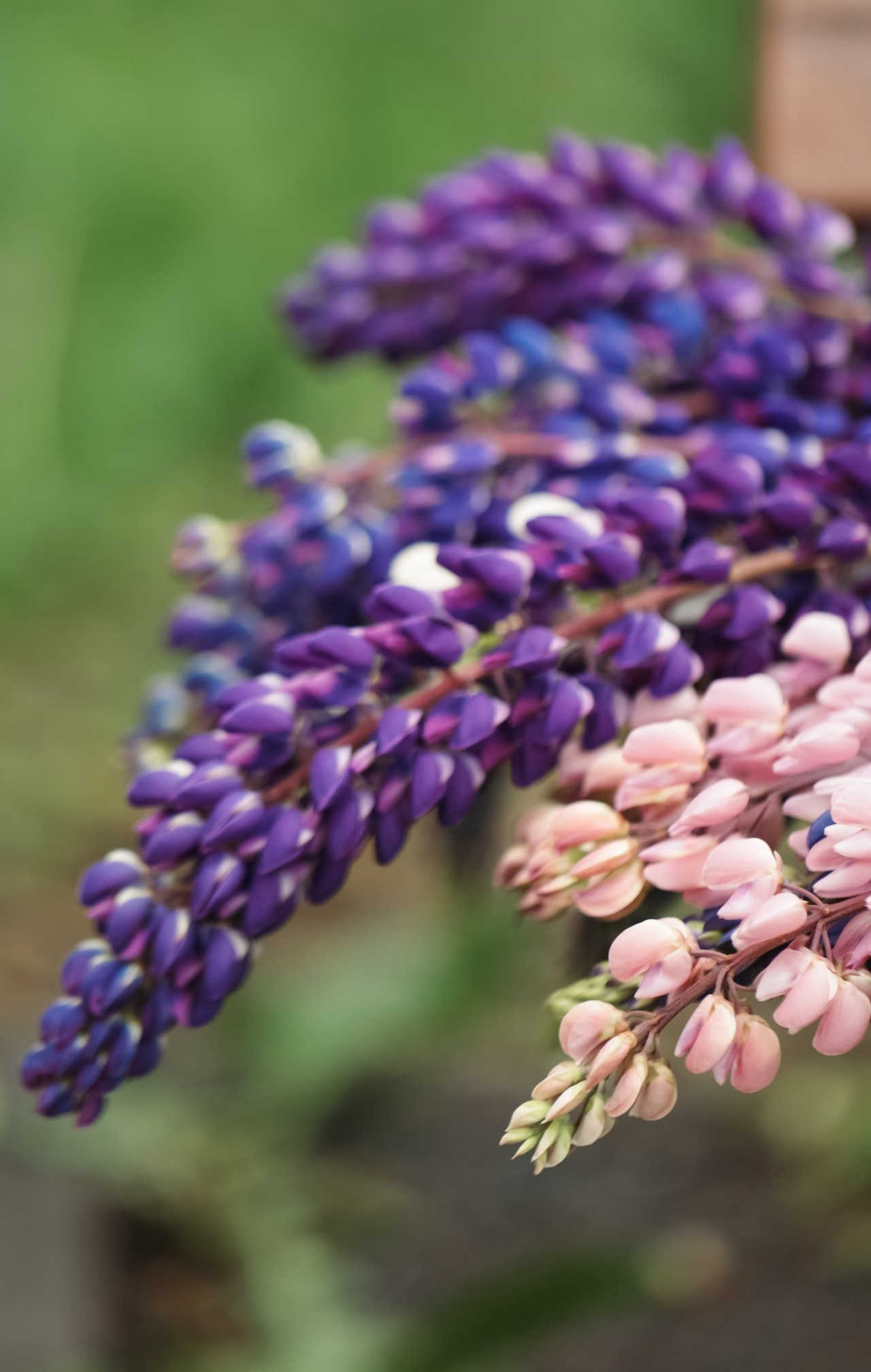 Отзывы. Фотограф Варвара Ермоленко