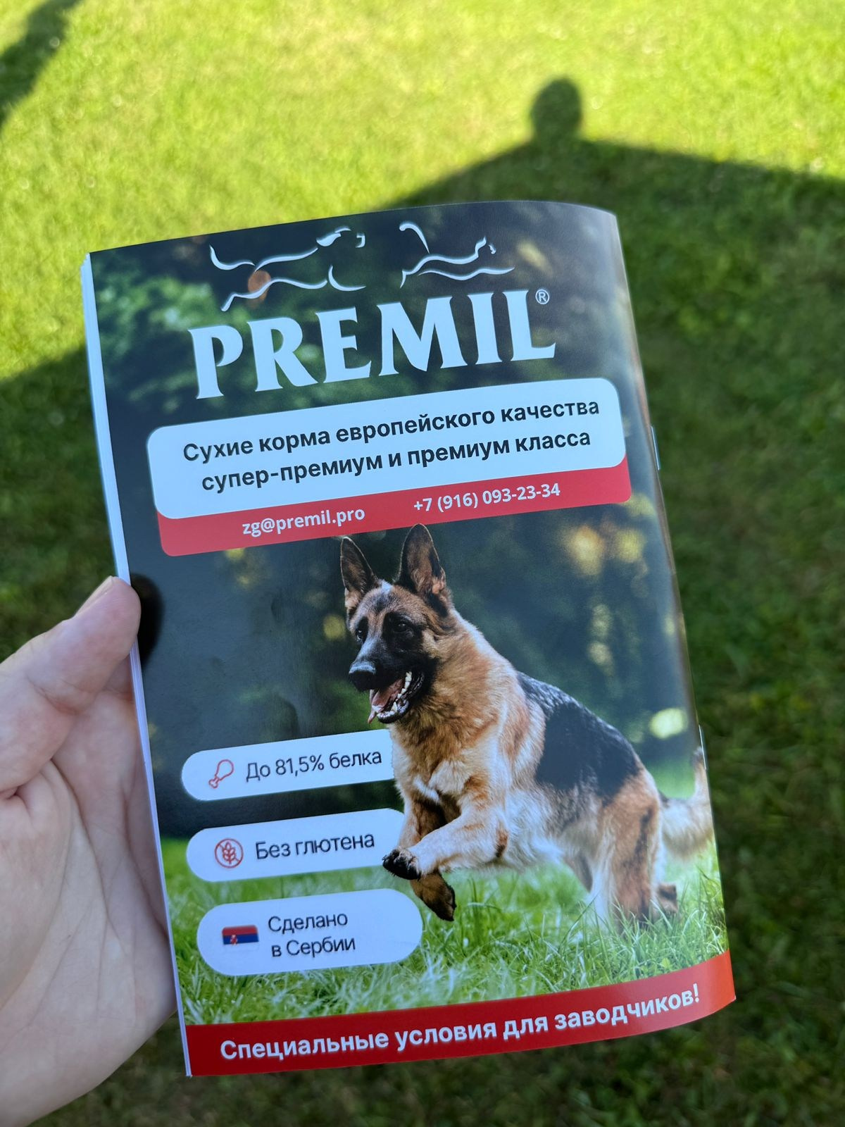 О фотографе TitAnya. Фотограф собак, фотограф-анималист Аня Титова (Titanya). Москва