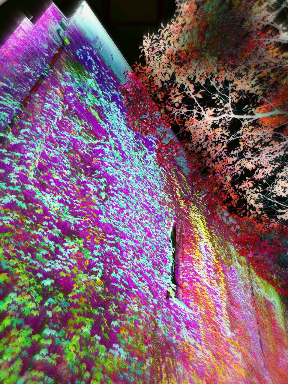 NEON LIGHT. VISUAL ARTIST