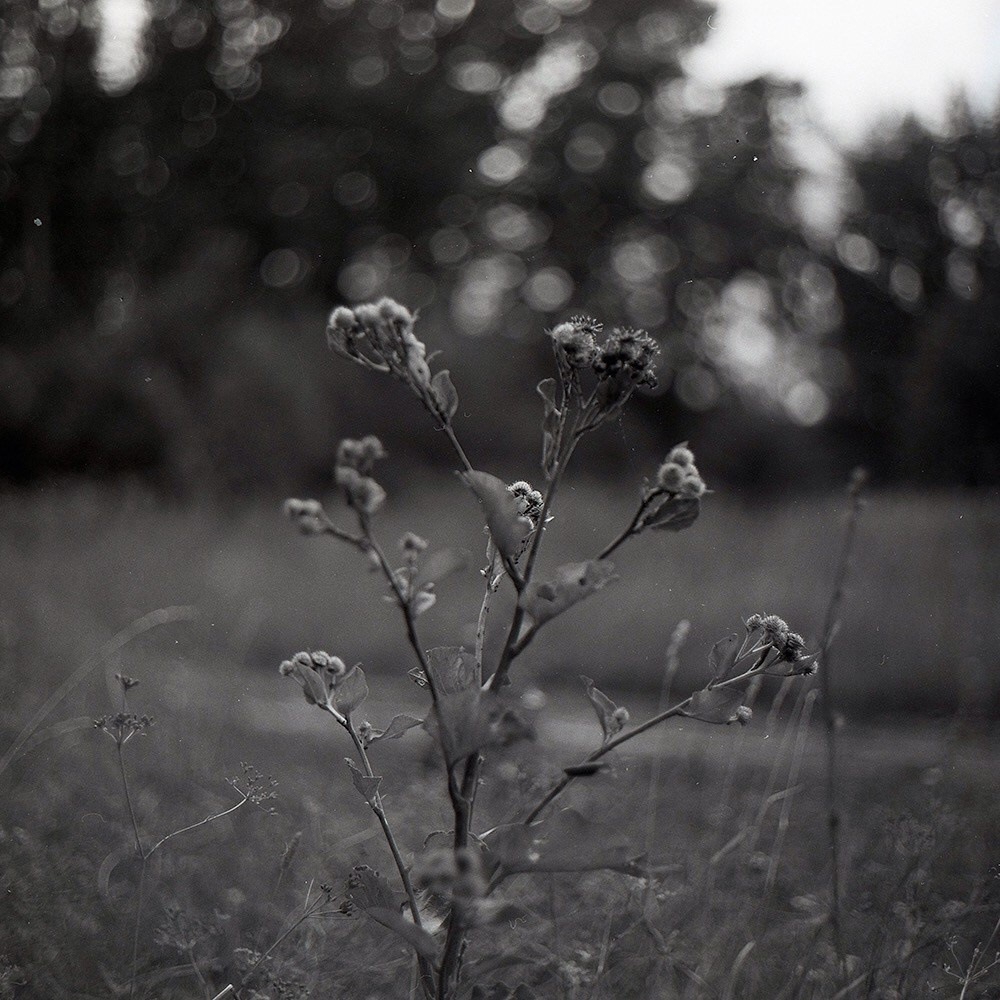 Пейзажи. Свадебный и портретный фотограф в Новом Уренгое Андрей Нелескин