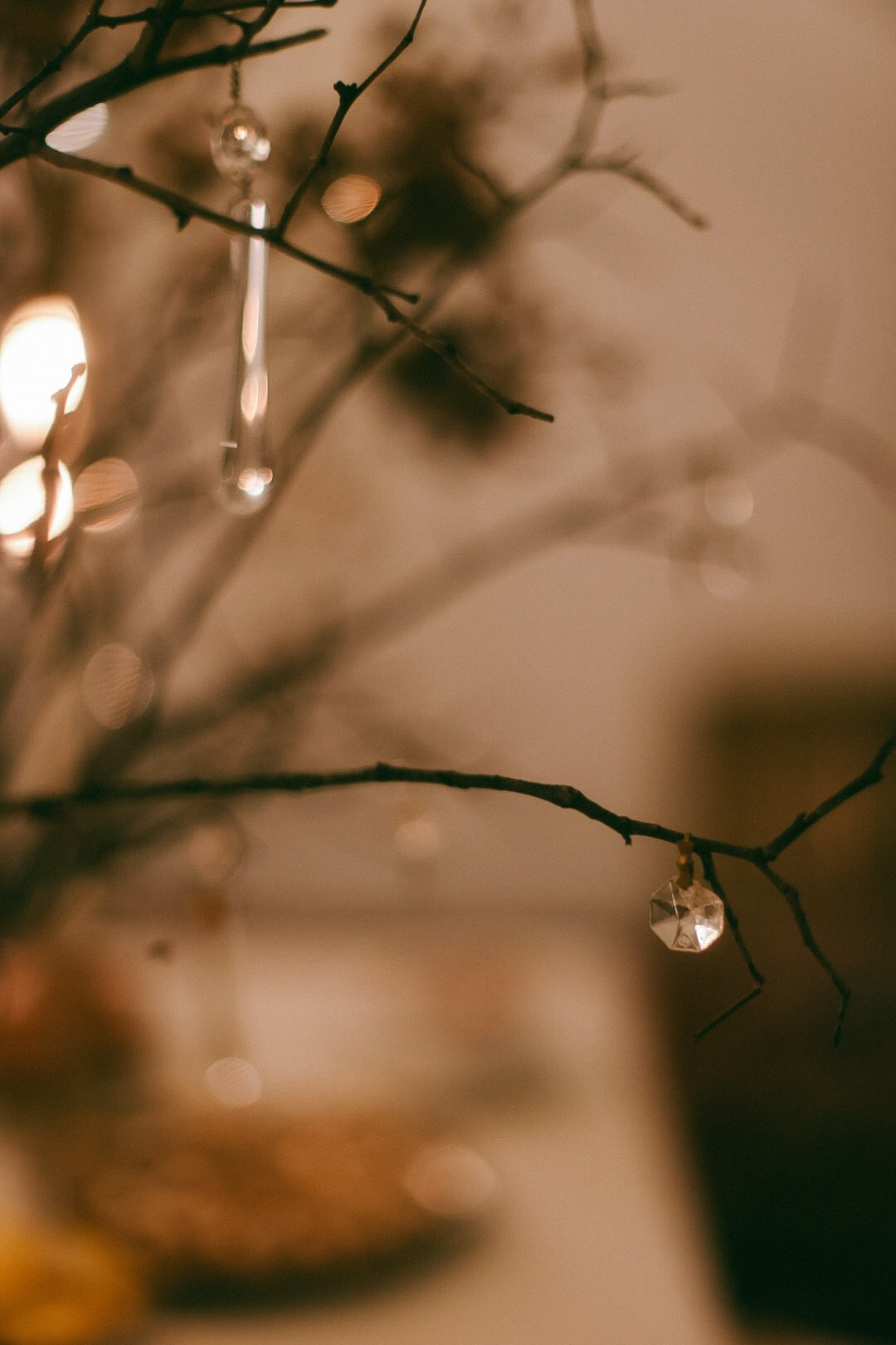 Званный ужин. Фотограф Нижний Новгород